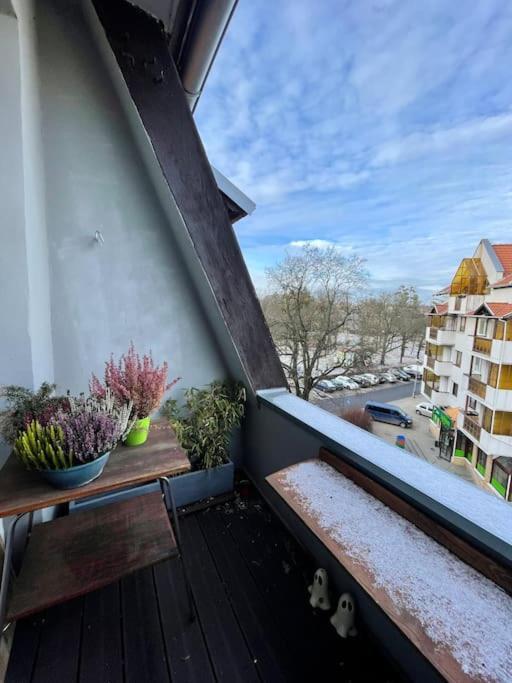 Apartament Przy Parku Z Bezplatnym Parkingiem Stary Toruń Eksteriør bilde